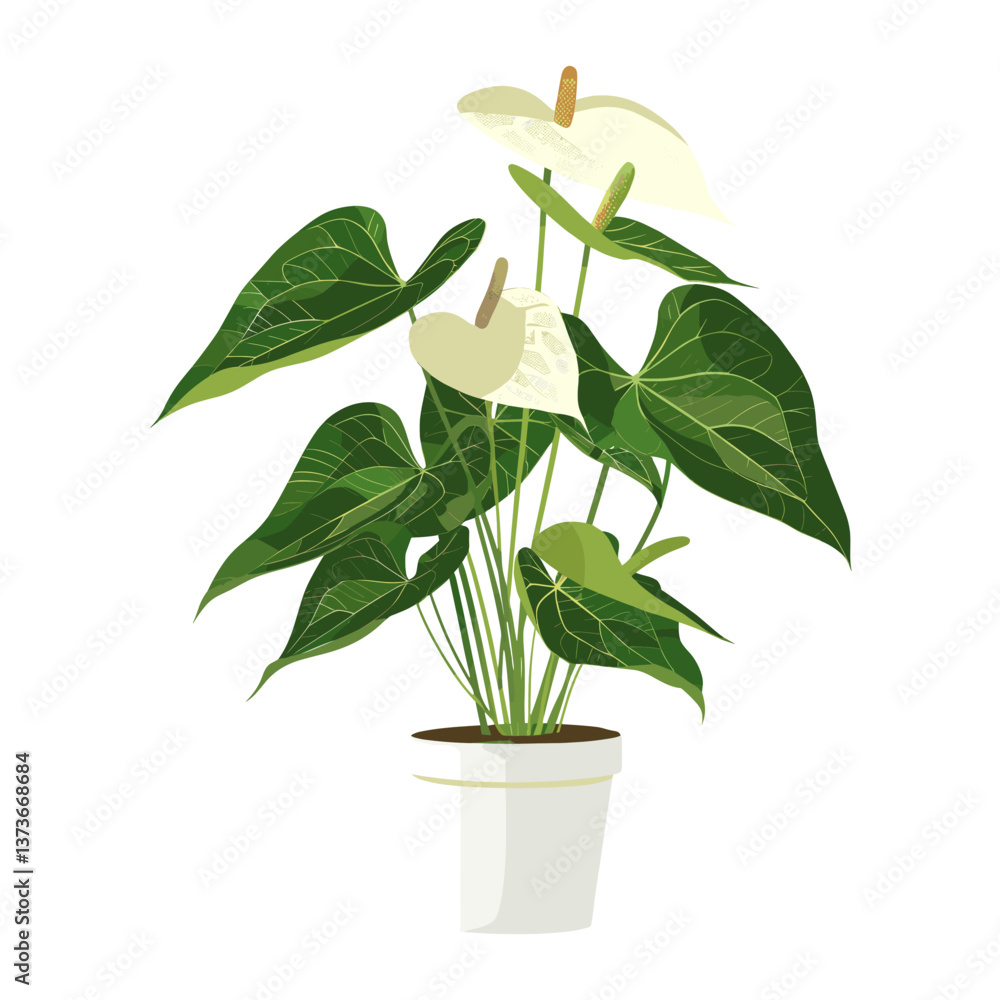 Potted anthurium plant illustration modern white vector