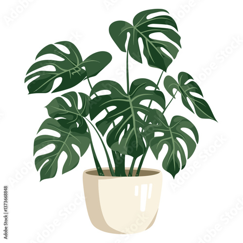 Potted monstera plant illustration leaves modern vector