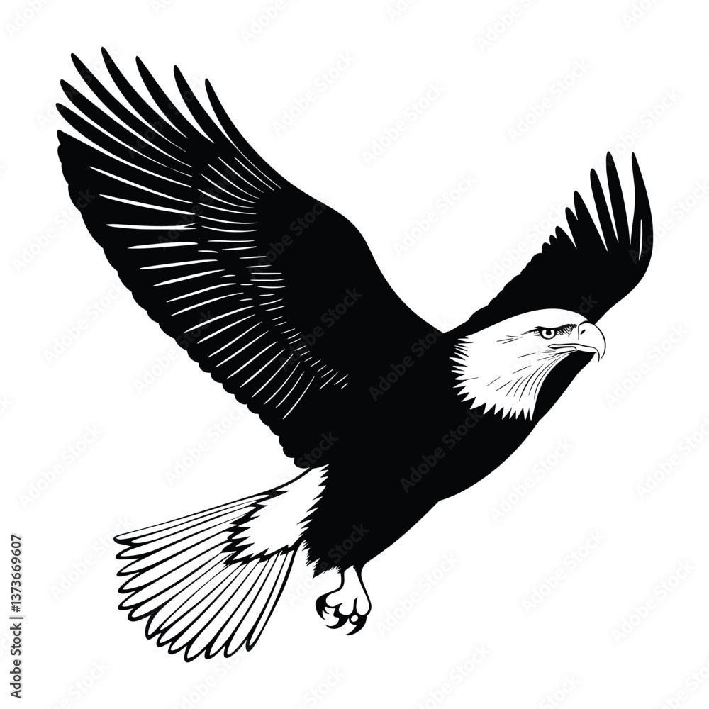 Obraz premium Eagle flying illustration silhouette black vector
