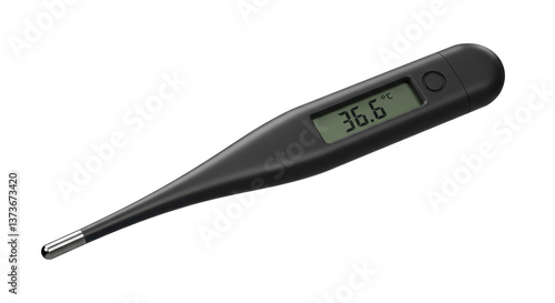 Isolated Digital Thermometer