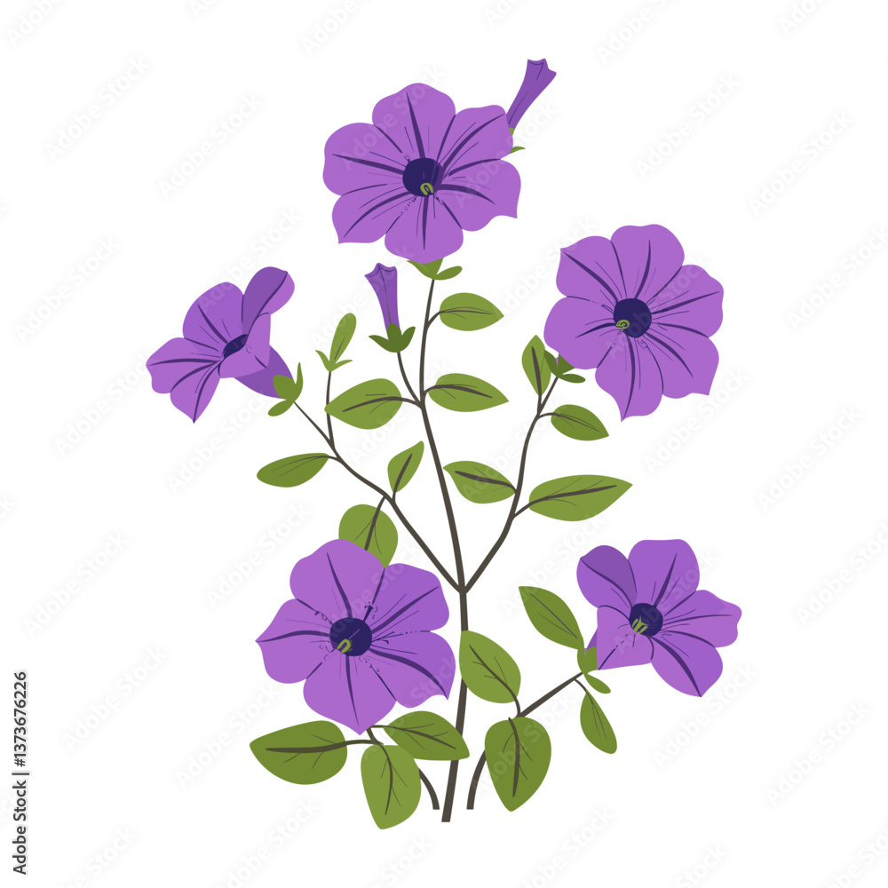 Petunias flowers illustration purple plant vector
