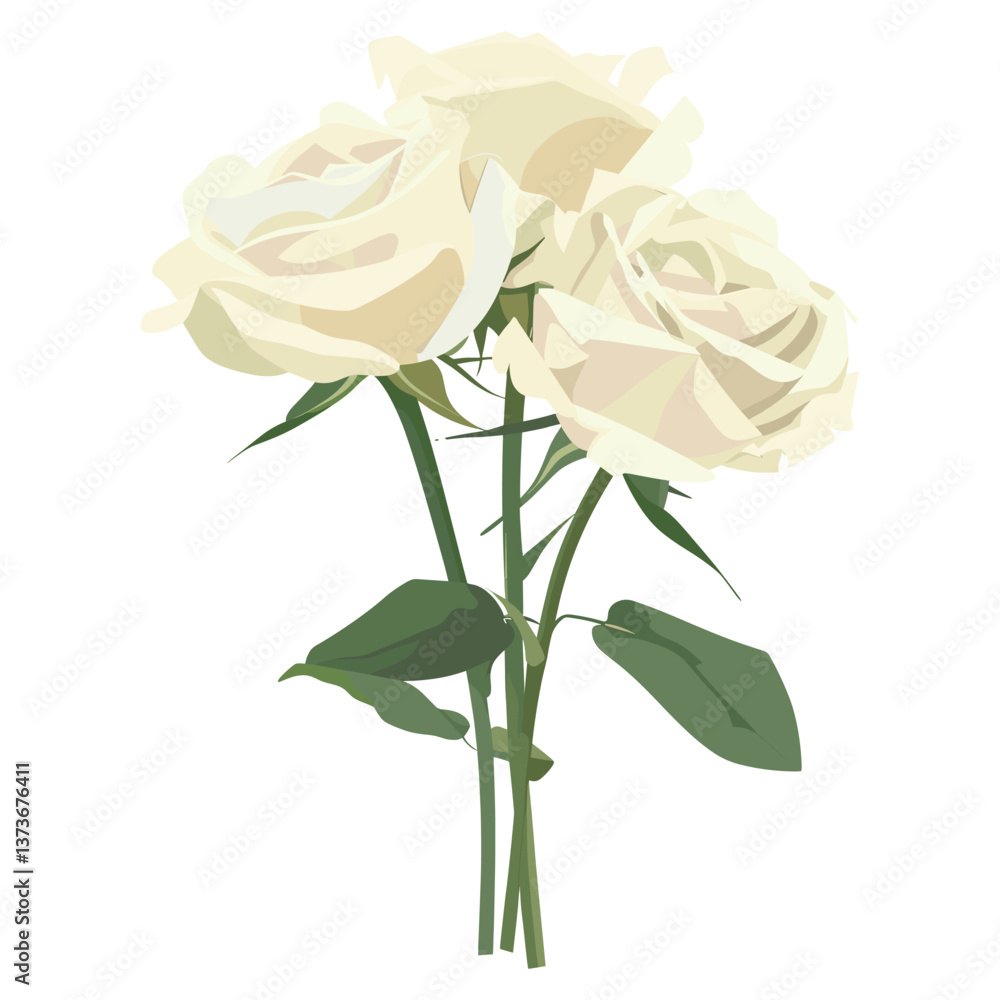 White roses illustration background flower vector White roses illustration background flower vector