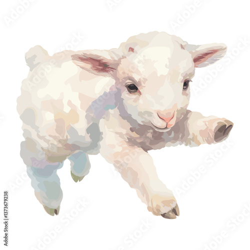 Lamb illustration animal fluffy vector