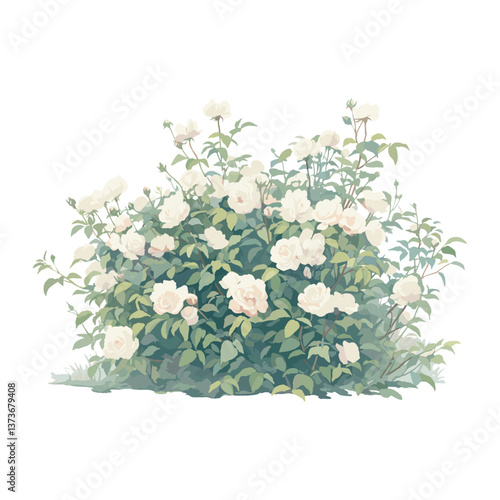 Rose Bush roses art illustration vector