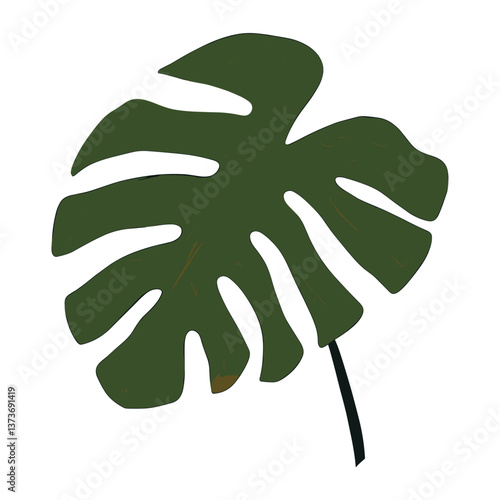 Green tropical leaf illustration minimalist botanical vector