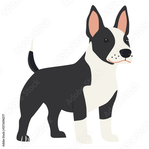 Bull Terrier dogs illustration animal white vector