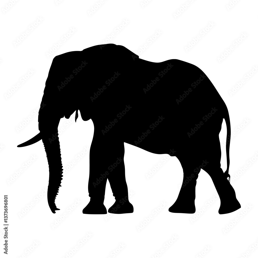 Fototapeta premium Elephant silhouette elephant illustration wildlife vector
