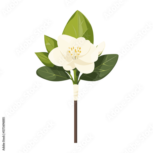 Boutonniere flower leaves leaf vector