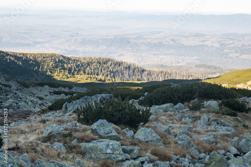 Obraz na płótnie High mountain trail in the High Tatras, Pańszczyca Valley. w salonie