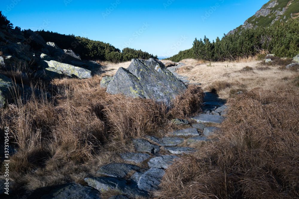 Tatra National Park trail in the Pańszczyca valley.