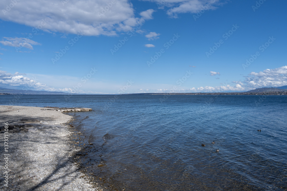 Fototapeta premium plage de Versoix en hiver