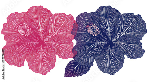 Blossom flower concept. Beautifully detailed tropical hibiscus flowers in shades of pink and purple creating a lush harmonious and serene botanical composition