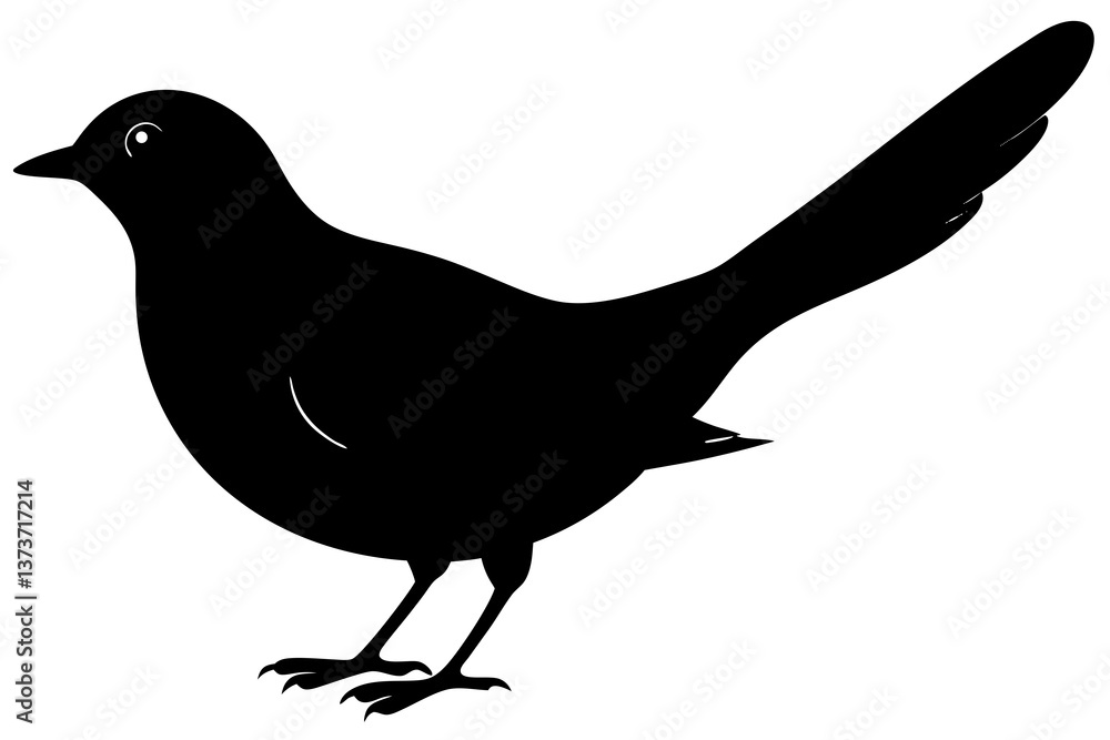 Fototapeta premium A black silhouette of a cuckoo bird