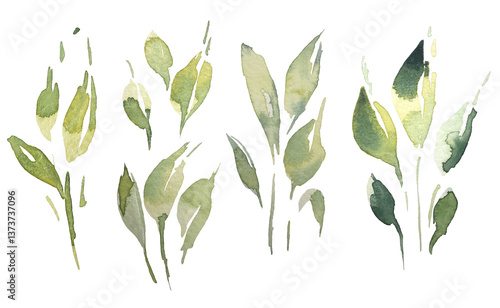 Set of watercolor collection design elements leaves, green branches, botanical illustration isolated on transparent background	