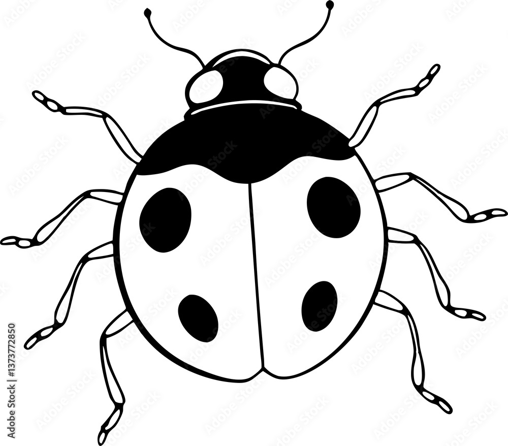 Obraz premium ladybug sketch white background art