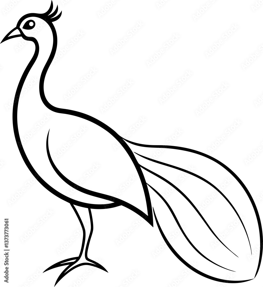 Fototapeta premium peacock sketch white background art
