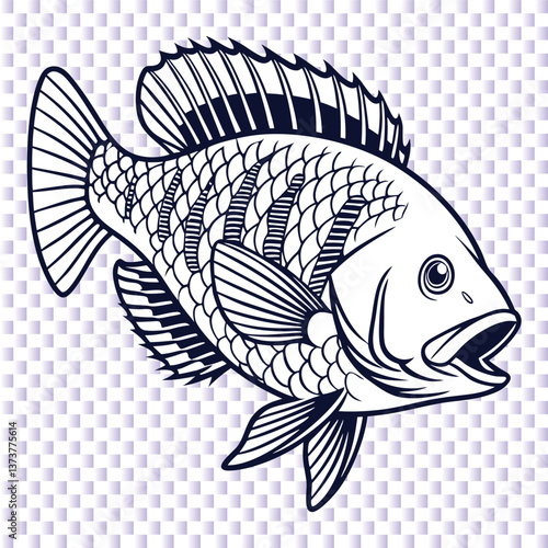 tilapia fish Vector image