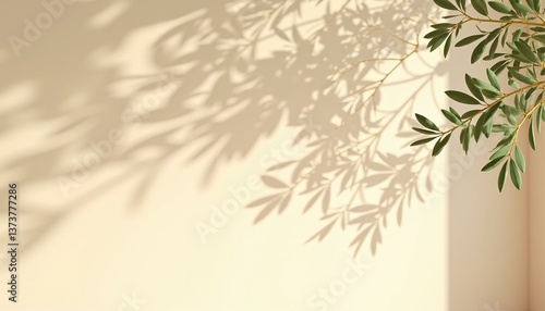 Modern summer minimal of olive tree branch in sunlight with long shadows on beige wall background, copy space interior lifestyle Mediterranean scene.