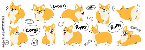Set of cute corgi dog vector. Lovely dog doodle in different poses with food bowl, bone, ball. Adorable funny pet and many characters hand drawn collection for T-shirt, sticker, print, pet shop.