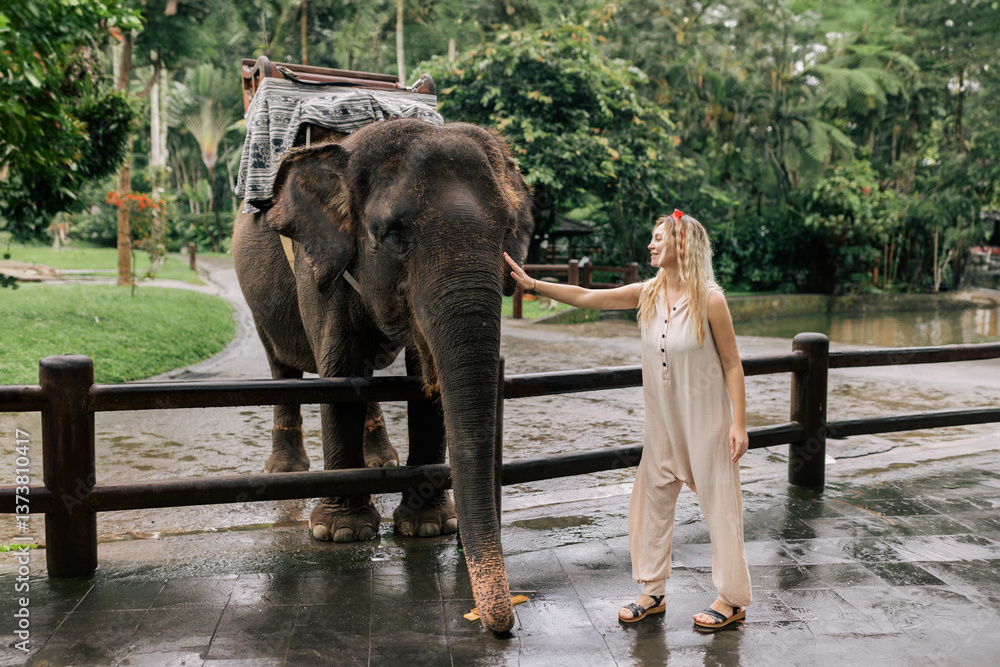 Fototapeta premium beautiful girl with smiling elephant, elephant village, bali