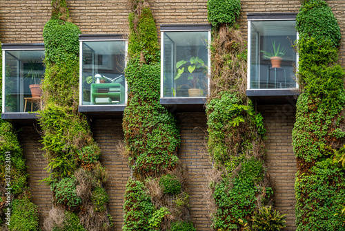 Windows and the wall of modern sustainable building, various climber plants growing on the wall, example of urban green space
