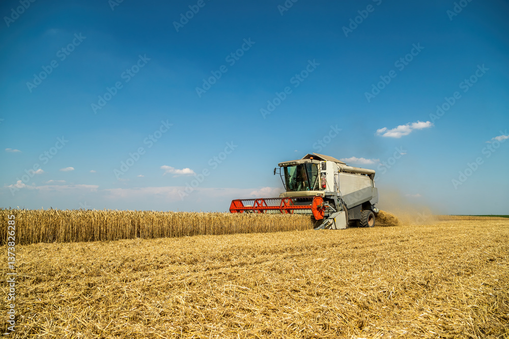 Combine harvester at work under the clear blue sky during wheat harvest season Combine harvester at work under the clear blue sky during wheat harvest season