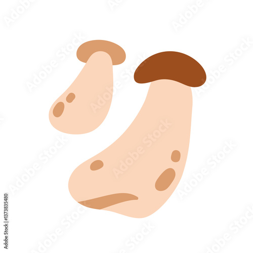 King oyster mushrooms, big and small. Edible forest fungi, autumn seasonal fo...