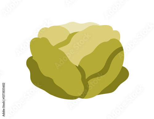 Iceberg lettuce, leaf vegetable, round head icon. Green leafy food, salad leaves ingredient. Fresh healthy crop. Natural vitamin nutrition. Flat vector illustration isolated on white background
