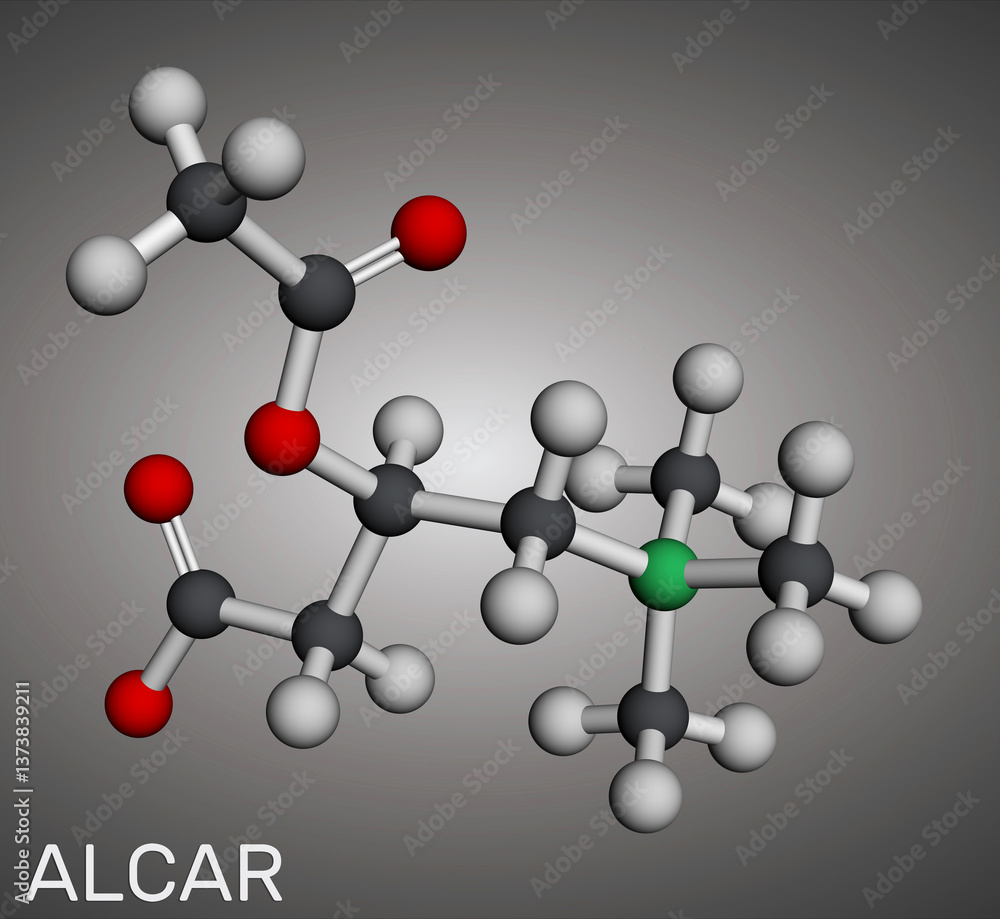 Obraz premium Acetyl-L-carnitine, ALC, ALCAR molecule. Dietary supplement acetylcarnitine. Molecular model. 3D rendering
