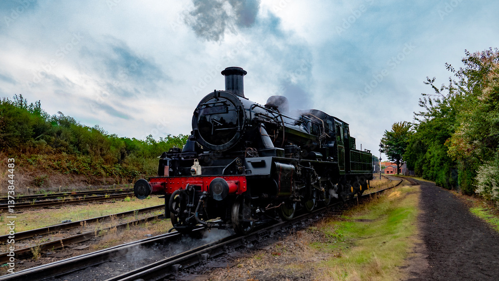 Obraz premium Steam Train Against a Countryside Backdrop