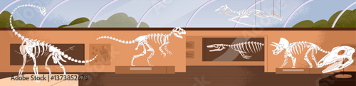 Interior of paleontology museum. Archaeological display of extinct animals. Exposition of dino bones, dinosaur skeletons, skulls. Hall with ancient remains, fossil discovery. Flat vector illustration