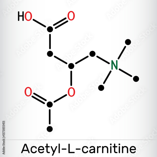 Acetyl-L-carnitine, ALC, ALCAR molecule. Dietary supplement acetylcarnitine.