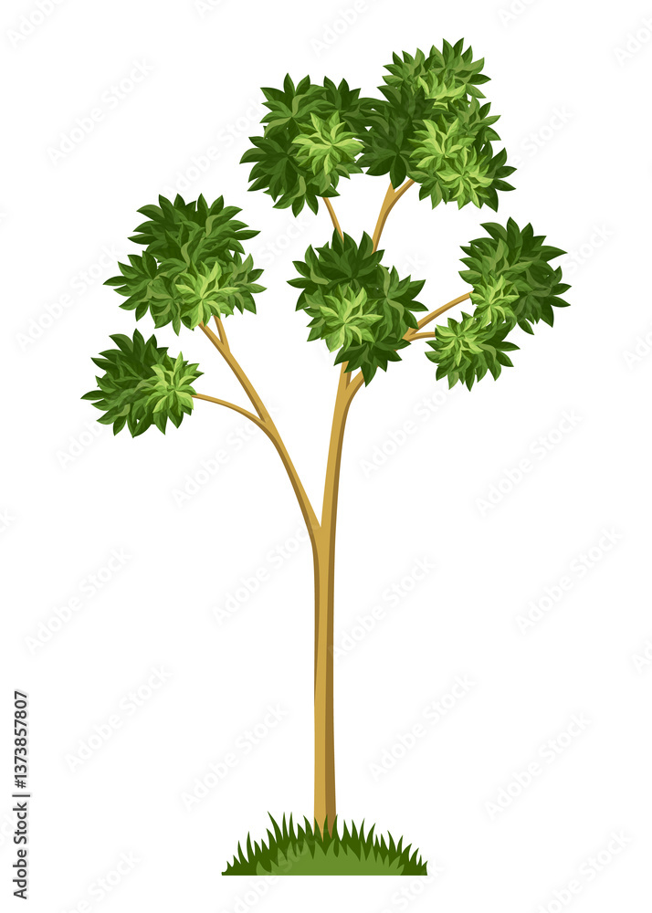 Stage of tree growth. Large tree growth with green leaf and branches. Illustration of business cycle development