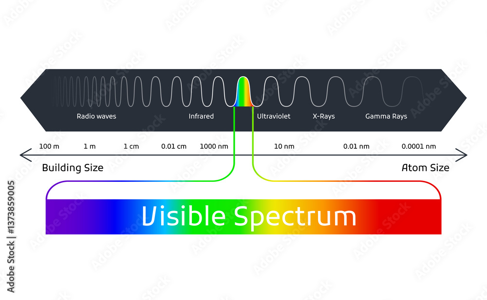 Spectrum wavelength. Visible spectrum color range. Educational physics light line. Light wave frequency. Wavelengths of the visible part of the spectrum for human eyes
