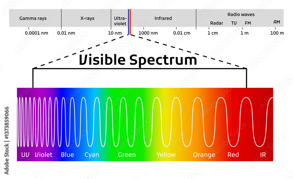 Spectrum wavelength. Visible spectrum color range. Educational physics light line. Wavelengths of the visible part of the spectrum for human eyes
