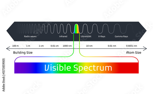 Obraz na płótnie Spectrum wavelength. Visible spectrum color range. Educational physics light line. Light wave frequency. Wavelengths of the visible part of the spectrum for human eyes w salonie