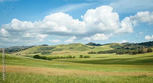 Fototapeta Naklejka Na Ścianę i Meble -  Yuba City Buttes: Majestic Skyline of California Grasslands and Rolling Hills