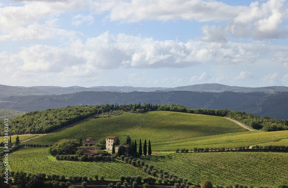 Fototapeta premium Tuscany Hills and Vineyards