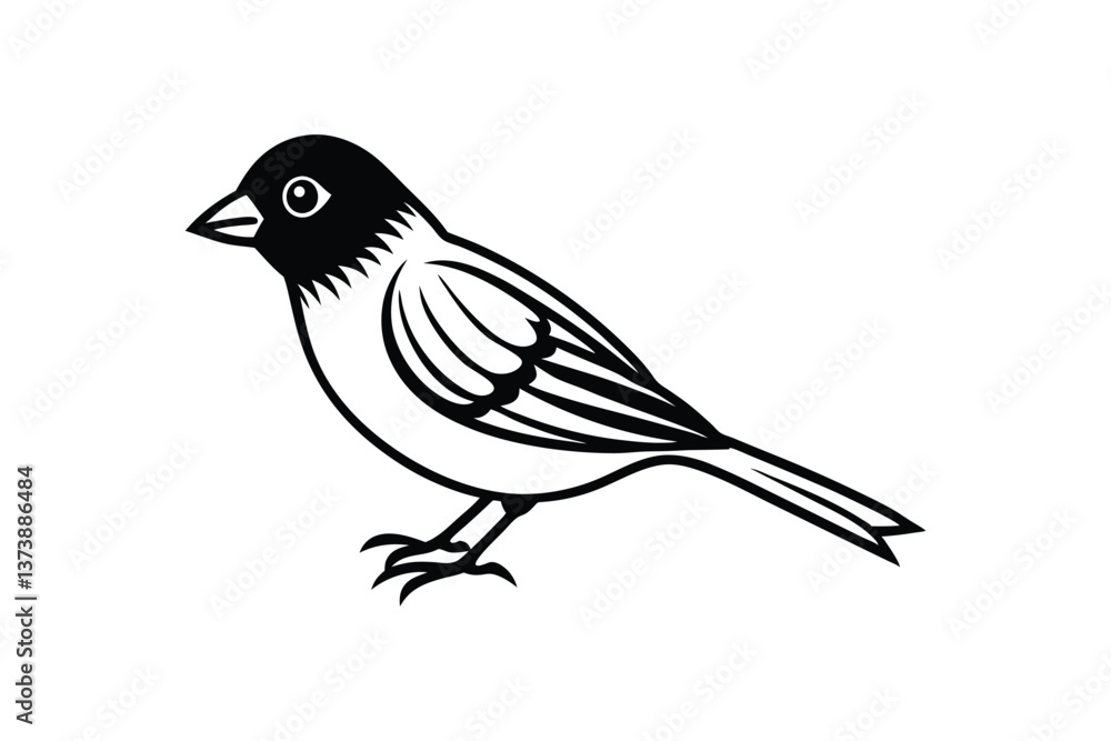 Line art vector illustration of a small finch.eps Line art vector illustration of a small finch.eps