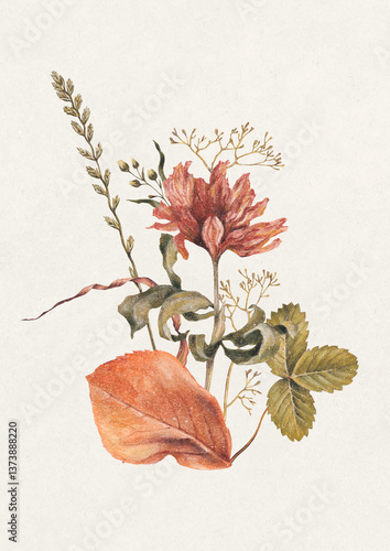 Hand drawn illustration of dried herbs and leaves. Fall composition. Perfect for posters, home textile, wall decor, apparel, packaging design, stationery and other printed goods