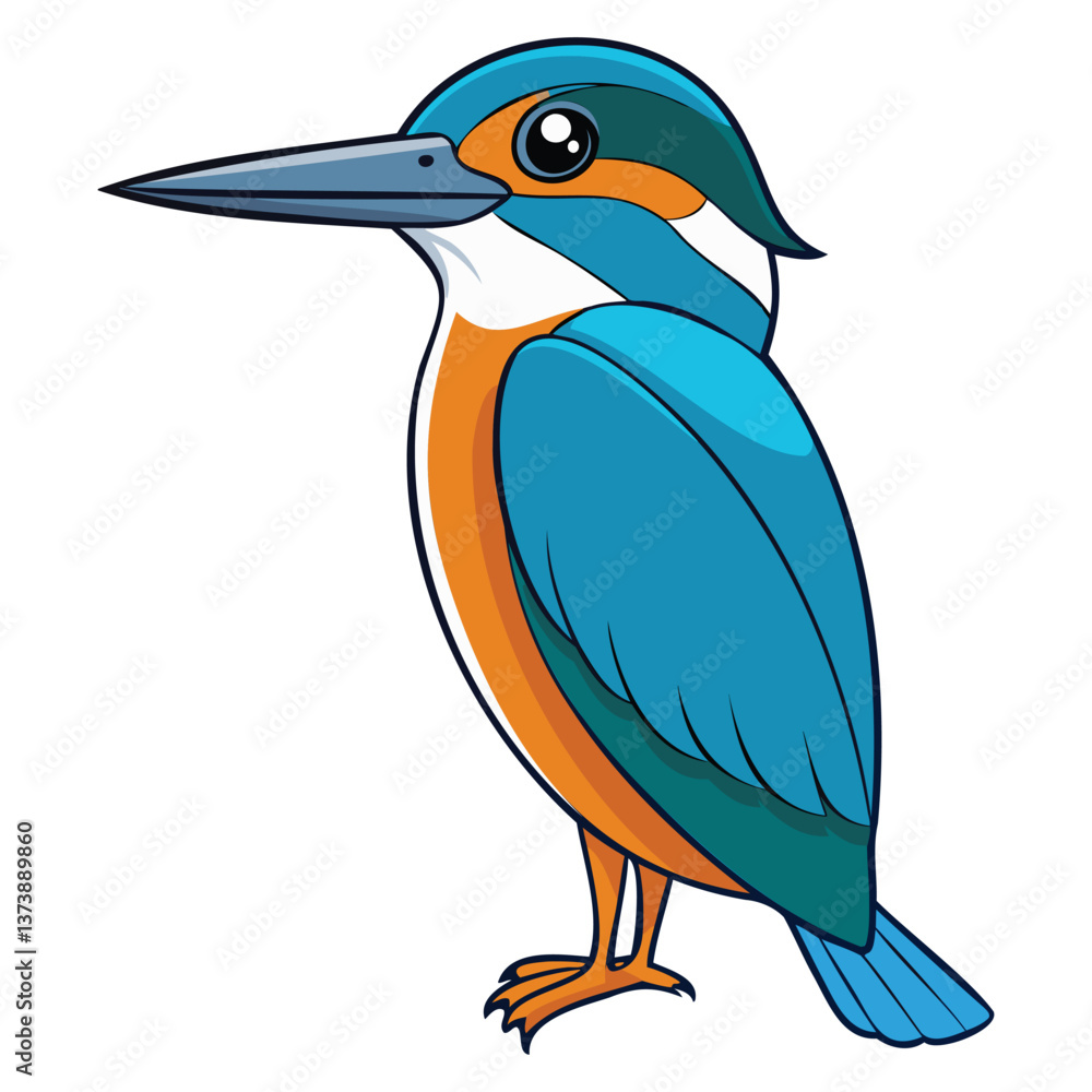 Fototapeta premium Vibrant Kingfisher Bird Vector Illustration