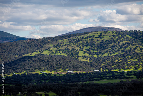 Explotación agrícola y animal en la dehesa