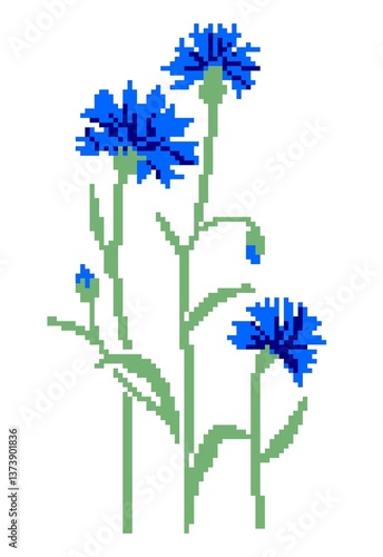A bouquet of three wildflowers of cornflowers highlighted on a white background. Pixel art.pattern for knitting, embroidery and children's creativity