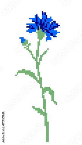 Cornflower wildflower isolated on white background. Pixel art. Pattern for knitting, embroidery and children's creativity