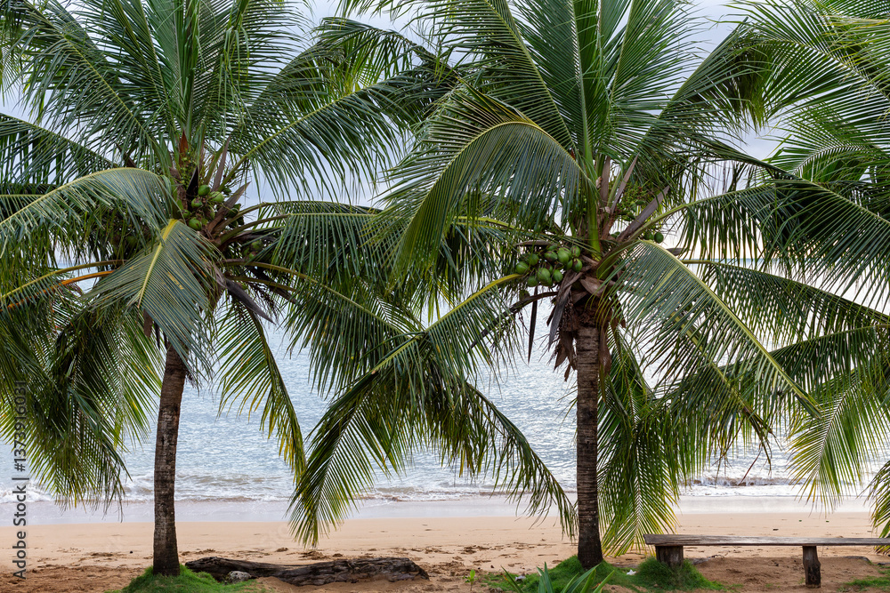 Fototapeta premium Tropical beach on Little Corn Island, Nicaragua, with lush coconut palm trees, golden sand, and gentle ocean waves. Serene coastal paradise with vibrant greenery and tranquil Caribbean Sea backdrop.
