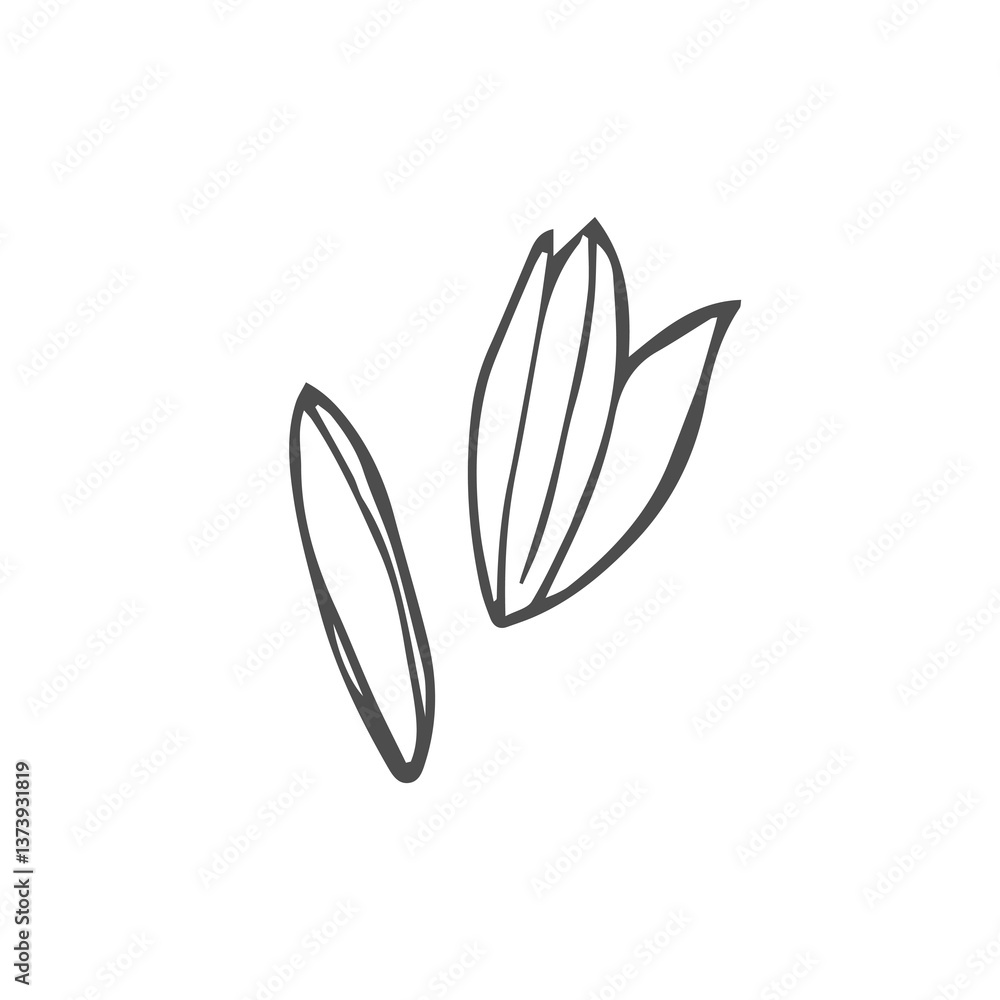 Doodle rice grains sketch isolated on white background Doodle rice grains sketch isolated on white background