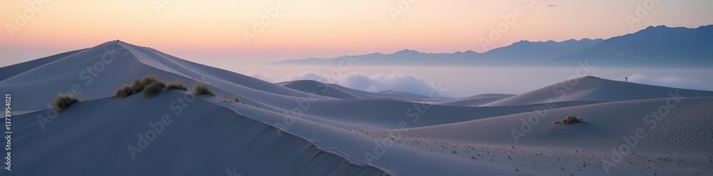 Fog blankets sand dunes at dawn in Lakeside, Oregon, USA, tranquil, nature Fog blankets sand dunes at dawn in Lakeside, Oregon, USA, tranquil, nature