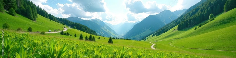 Fototapeta premium Alpine green meadow in the Caucasus Mountains on a warm summer day, Svaneti valley, grasslands, nutritious diet, valley, nutritious diet