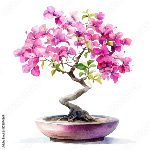 A watercolor vector of a bougainvillea bonsai, isolated on a white background. Bougainvillea bonsai vector.

