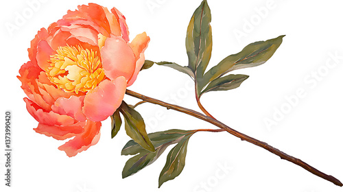 A beautiful orange flower with a yellow center